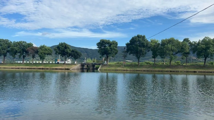 奉化项目 750  (1).jpg